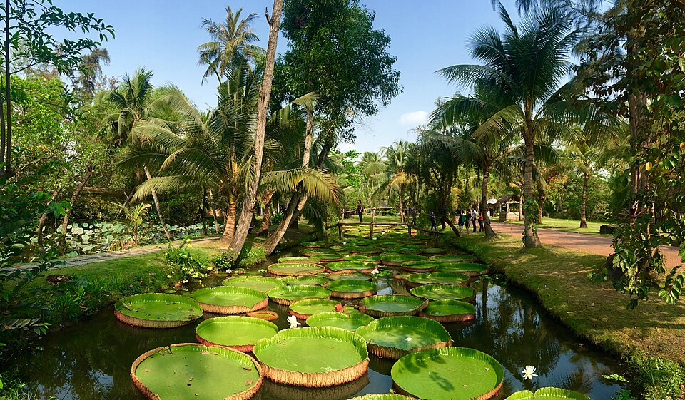 Ao Sen, khu du lich Binh quoi -phường 28, Bình Thạnh, TPHCM, Việt Nam - panoramio